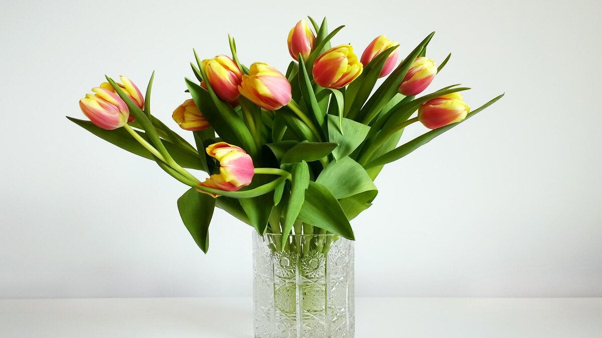 Фото: freepik.com