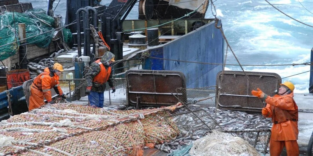 Мурманских рыбаков оштрафовали на 37 млн руб. за продажу рыбы за рубеж