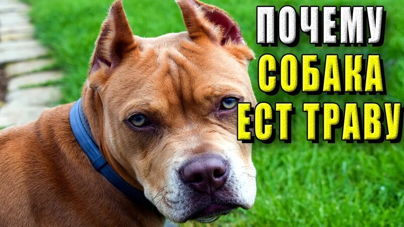 Фотография из интернета