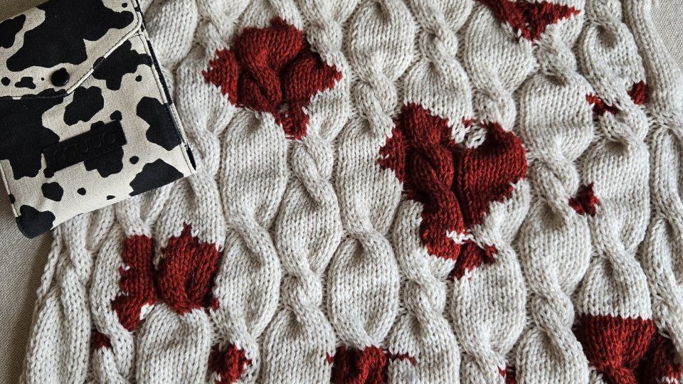 Тороплюсь, Тороплюсь, Тороплюсь