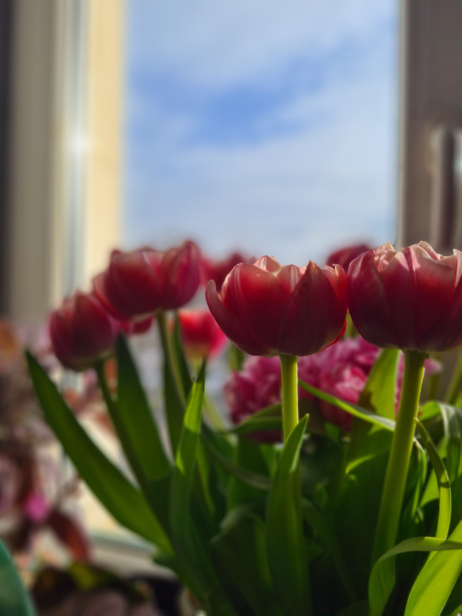 Фото из личного архива автора. 