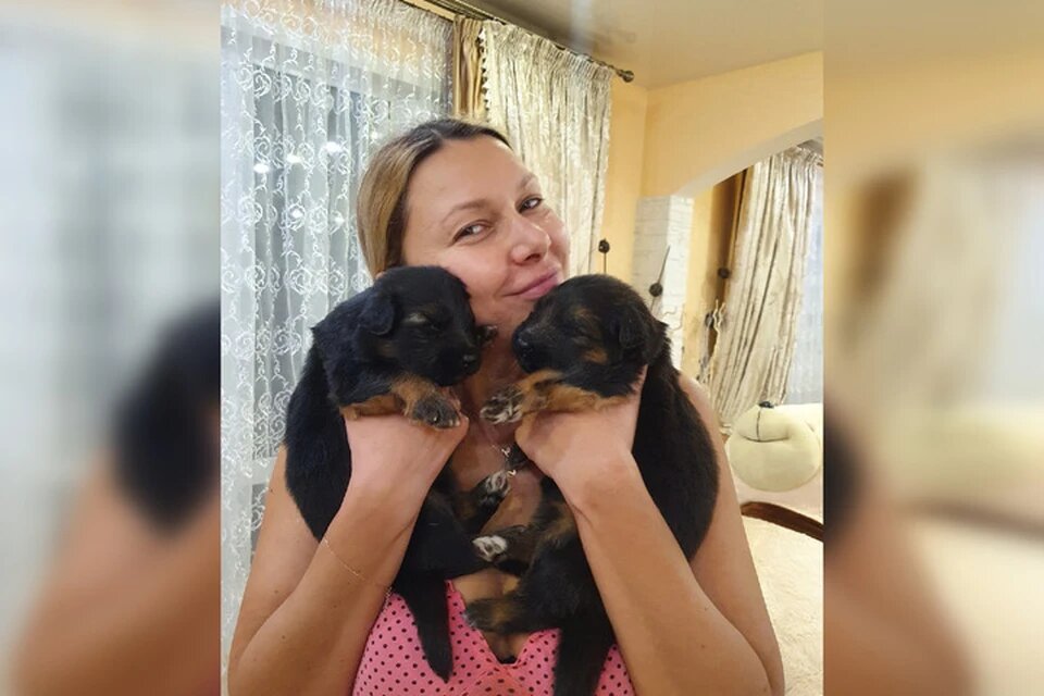 Кроме Косиножки у мамы-овчарки родились еще два щенка
Фото: Предоставлено "Комсомолке".