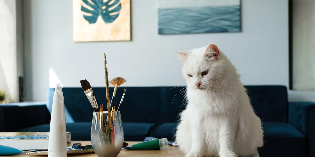 Пушистые коллеги: кем работают животные в Красноярске