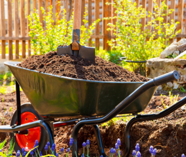 Что важно знать о составе и качестве почвы на вашем участке