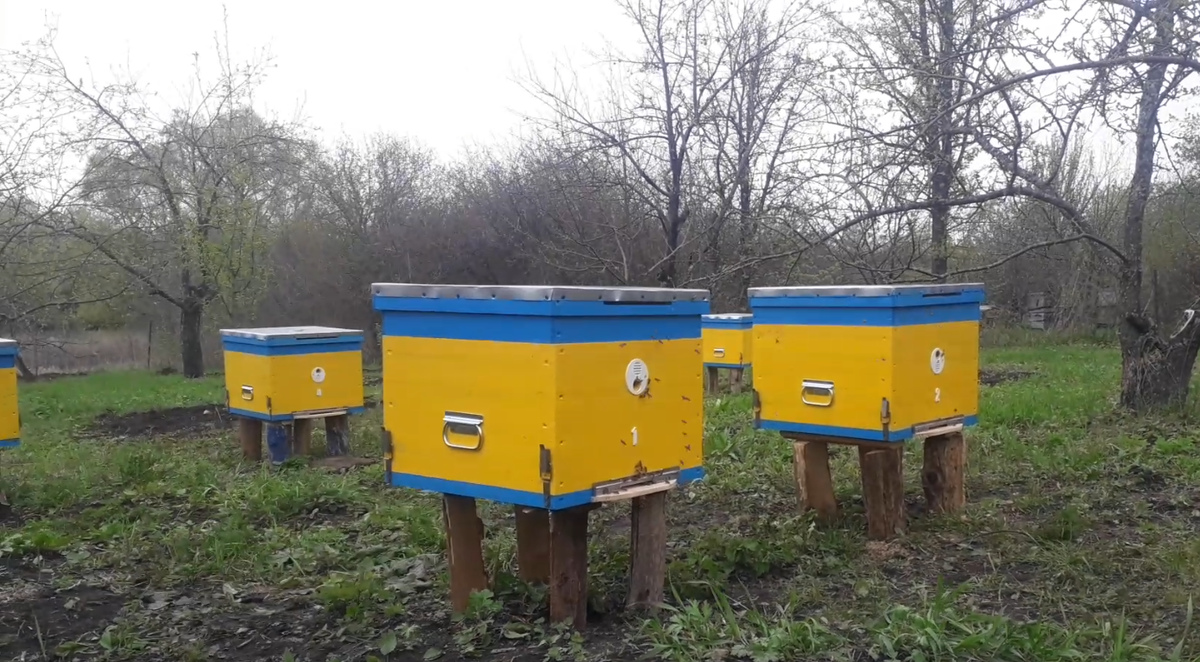 Так мы начинали свой первый сезон 