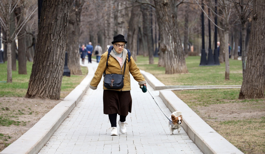 Налоги для пенсионеров в 2026 году: льготы, освобождения и вычеты