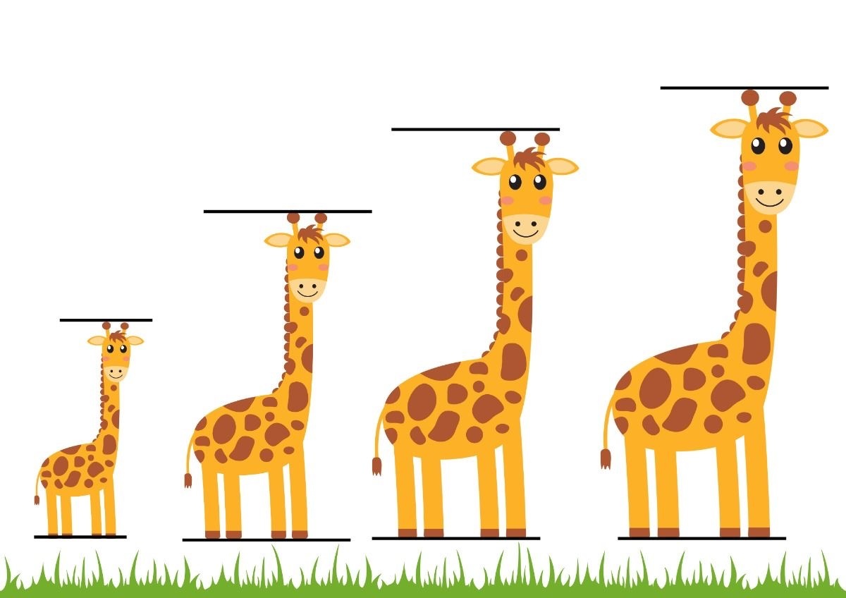 Дидактическая игра «Большой - средний - маленький»