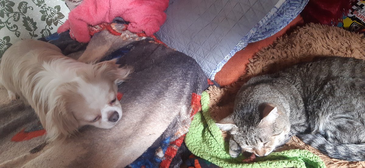 Традиционный послеобеденный отдых))