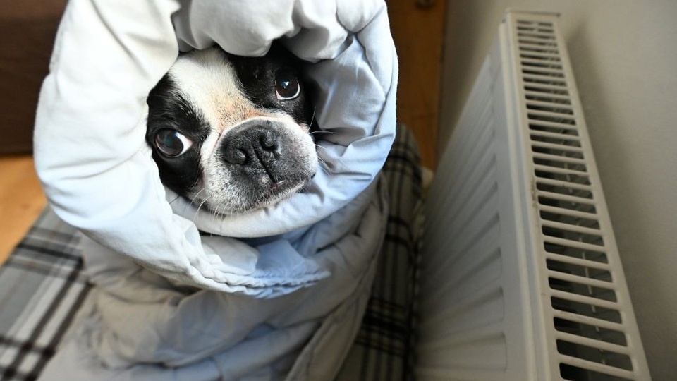 Из-за дефекта трубы без тепла и воды остались 11 многоэтажек в центре Ростова