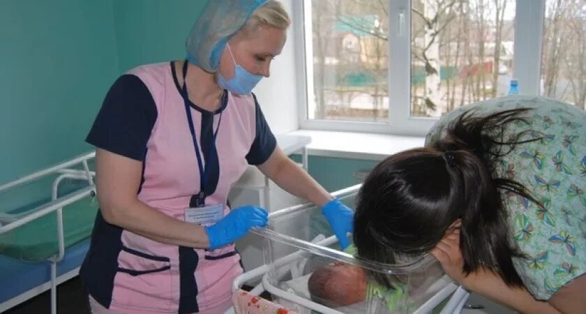    Фото prochepetsk.ru