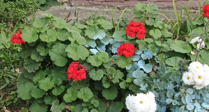    фото smilekaluga.ru