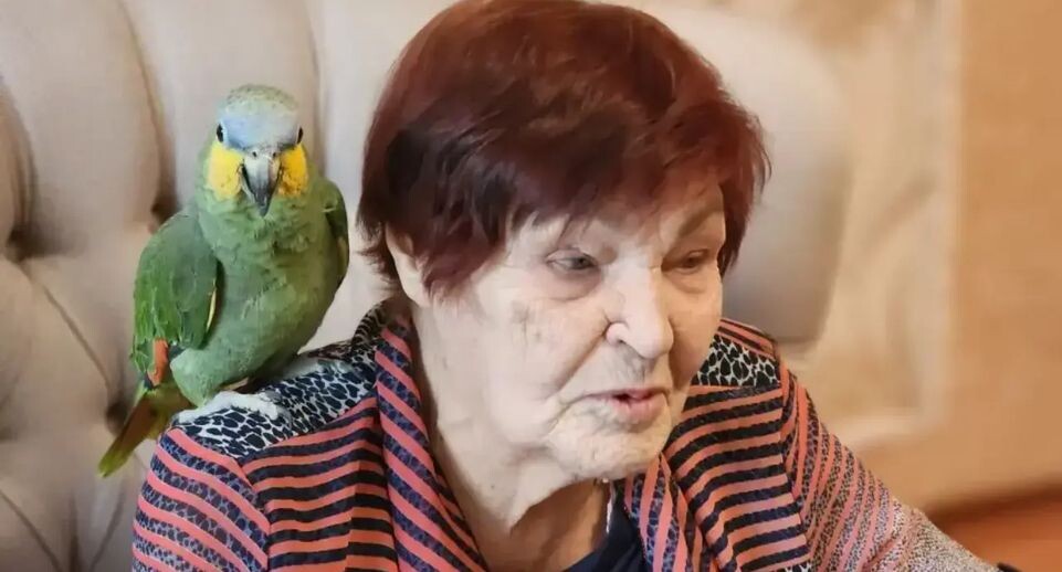    МедиаБанк Подмосковья/Ирина Кузова