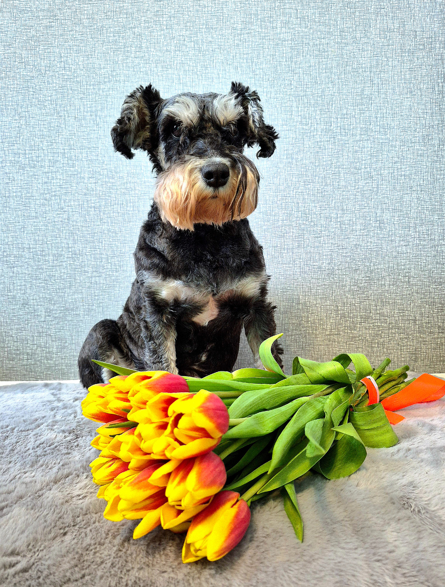 Джесси передаёт поздравления милым дамам