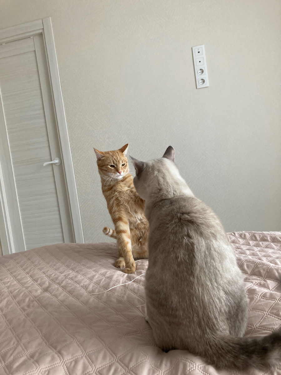 Ты меня уважаешь?