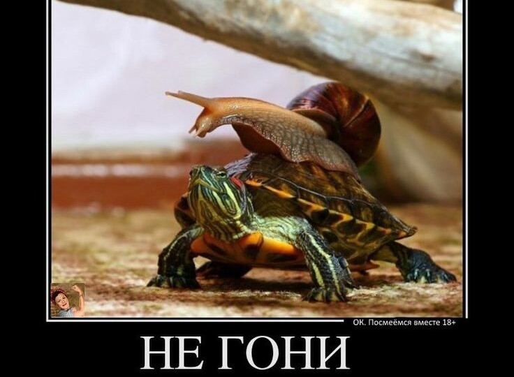 Медленно. Но верно.