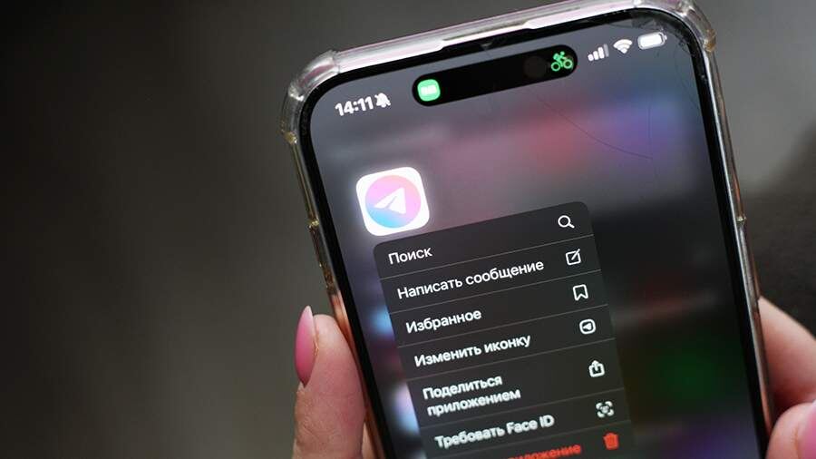    Фото: ИЗВЕСТИЯ/Юлия Майорова