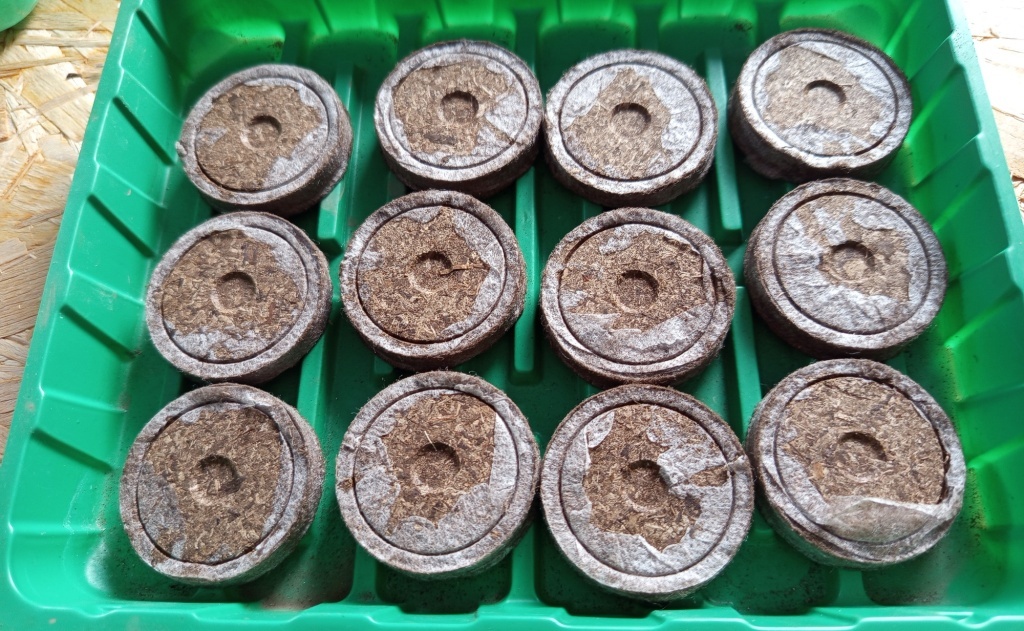  Торфяные таблетки