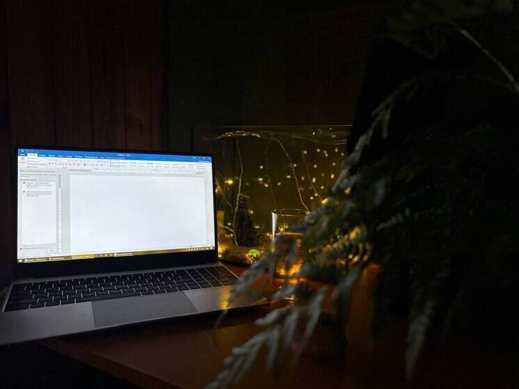     Фото: архив МК в Питере