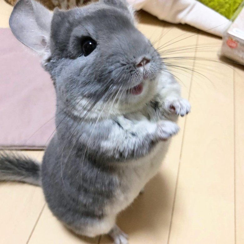 фото НЕ моё