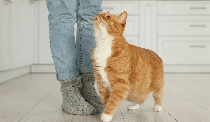 Фото из Интернета. 