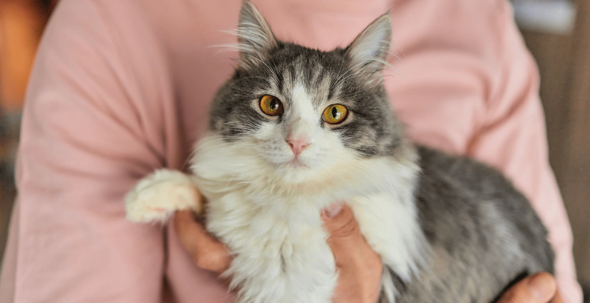 Фото из Интернета.