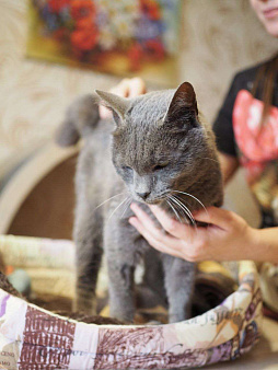 Фото из Интернета. 