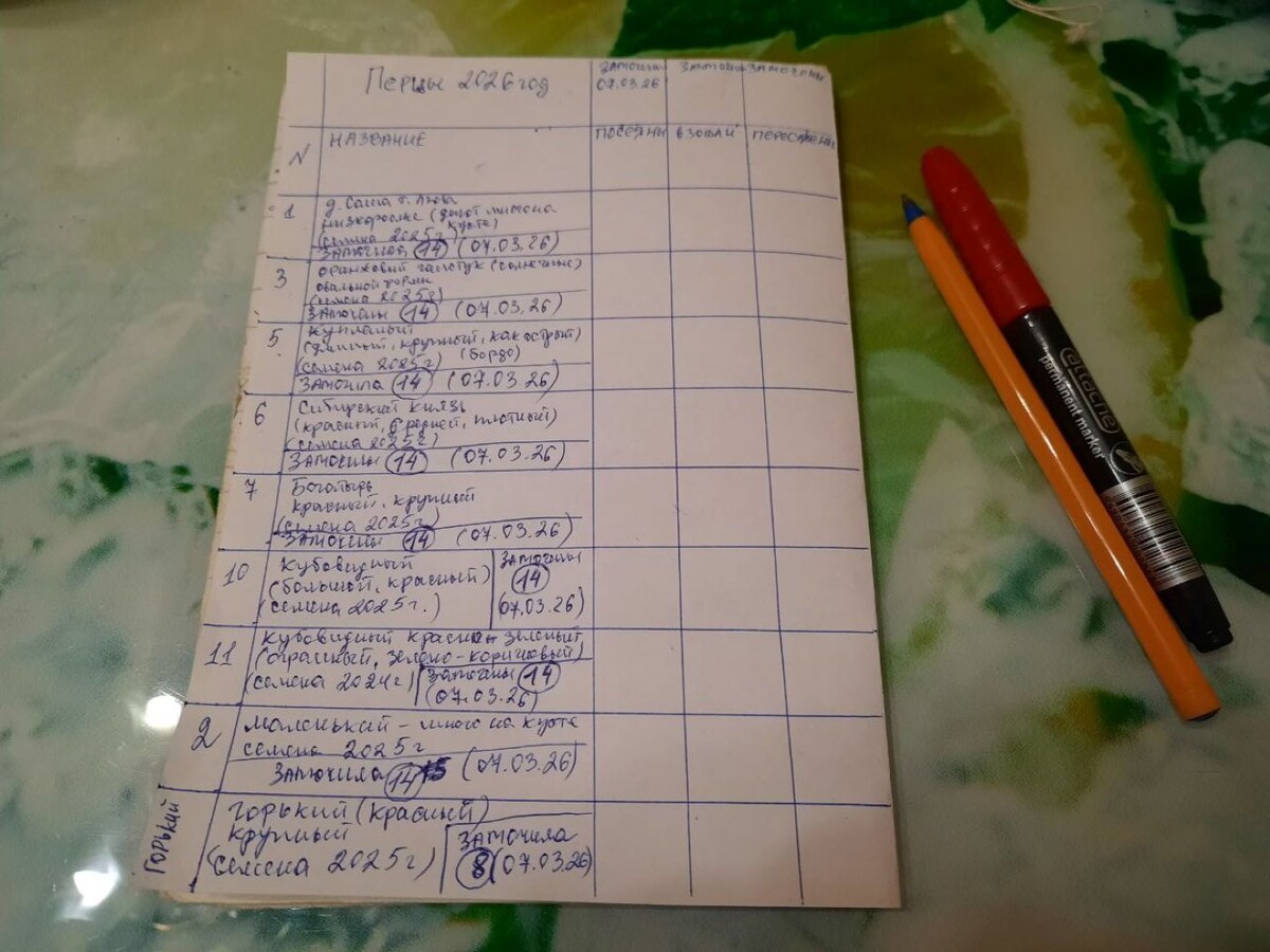 Когда посеяла, когда взошли, когда пересажены… Пока знаю только первую дату. Март 2026-й.