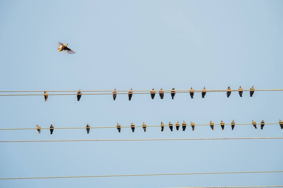    В Херсонской области налаживается весенняя погода. ФОТО: Владимир Сальдо