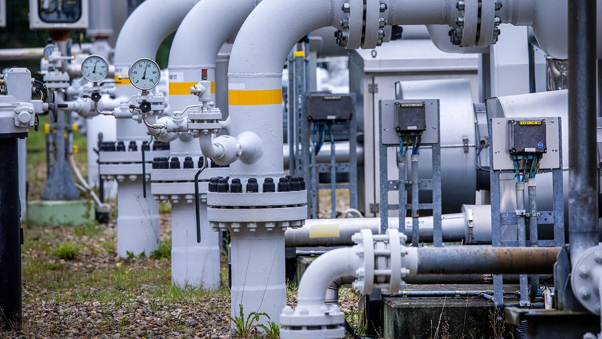   Jens Büttner / DPA / Picture Alliance / TASS