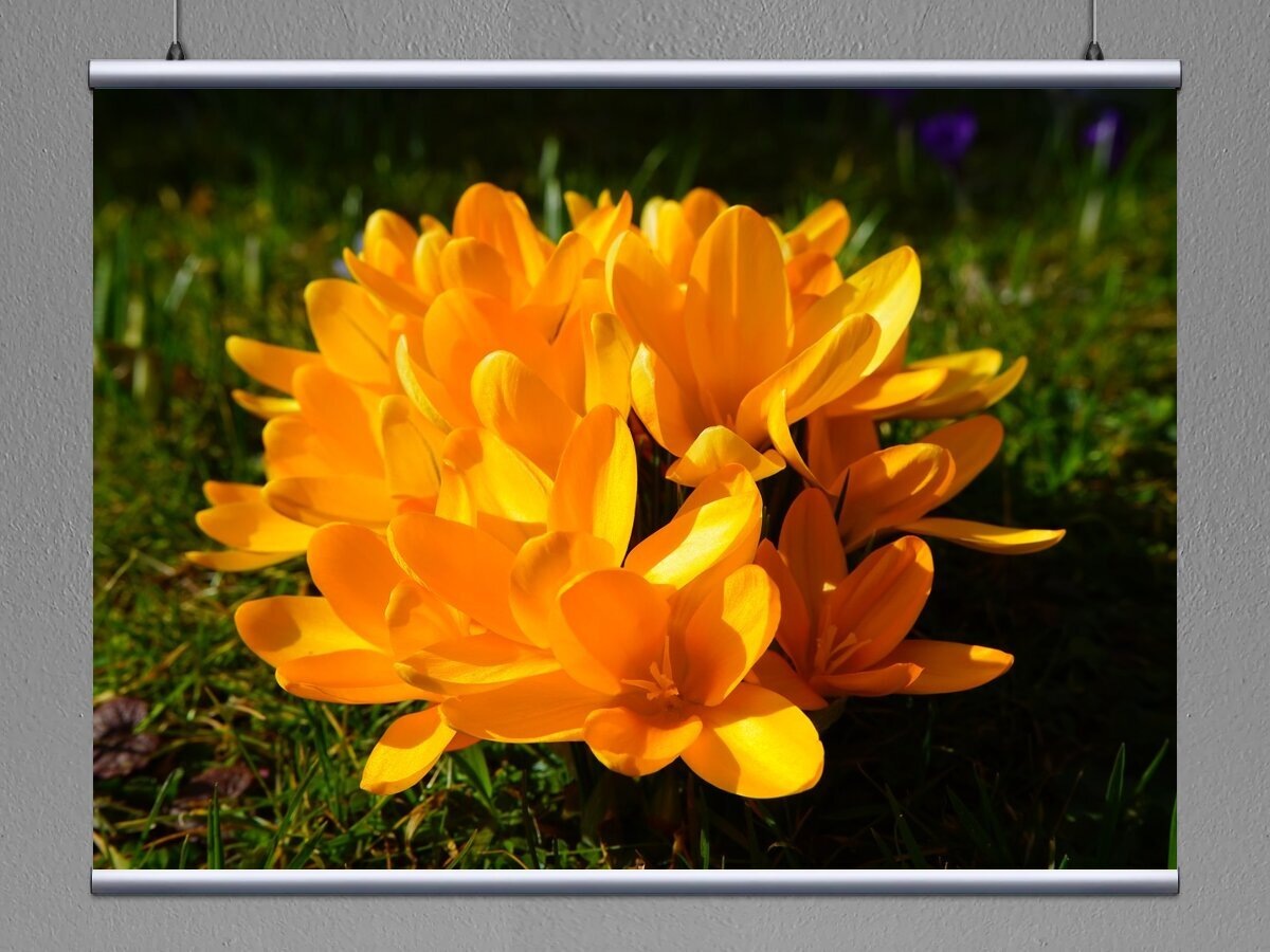 Фото из Интернета