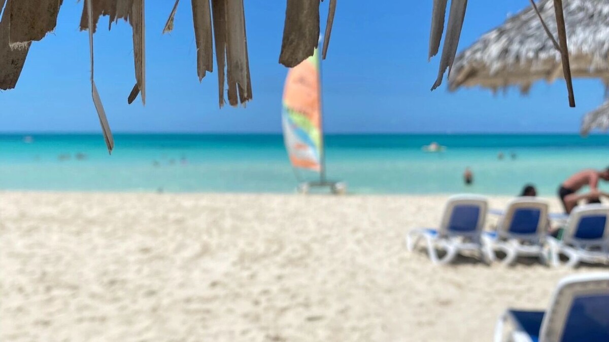   Юлия Литвиненко / mkset.ru