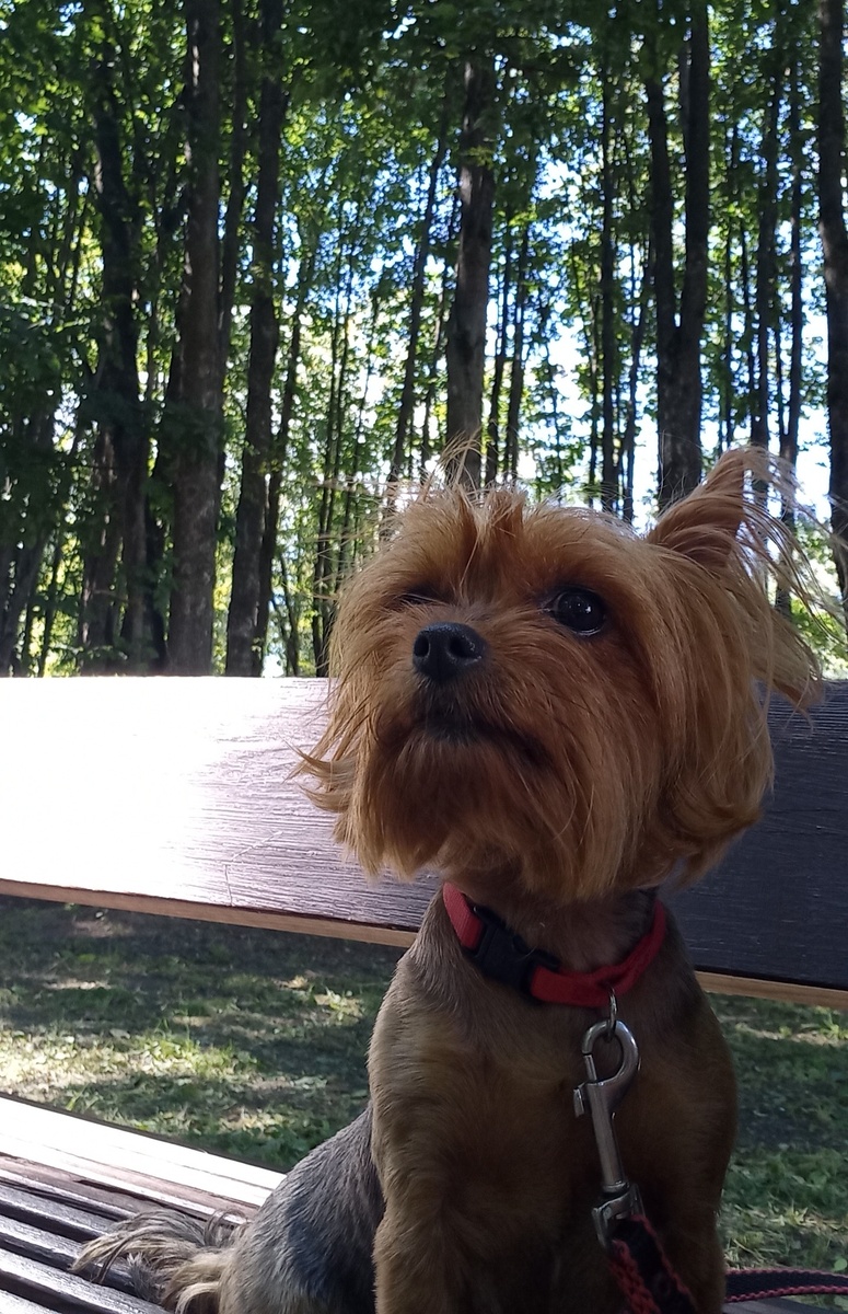 Очень умный взгляд