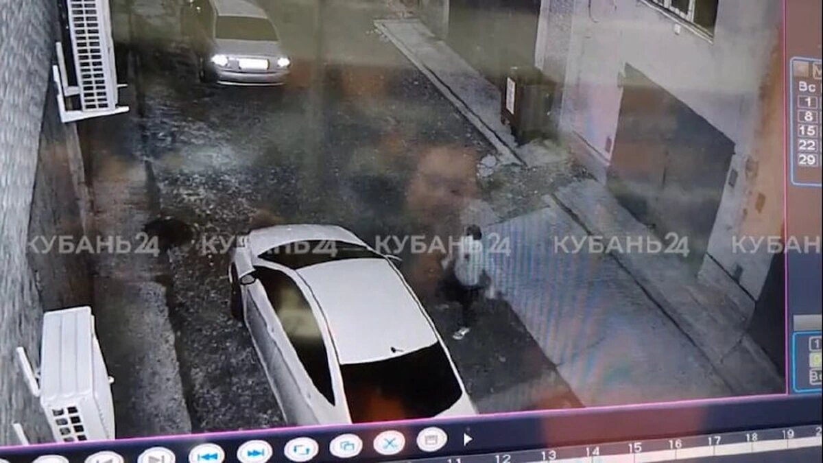    Кадр из видео «Кубань 24»