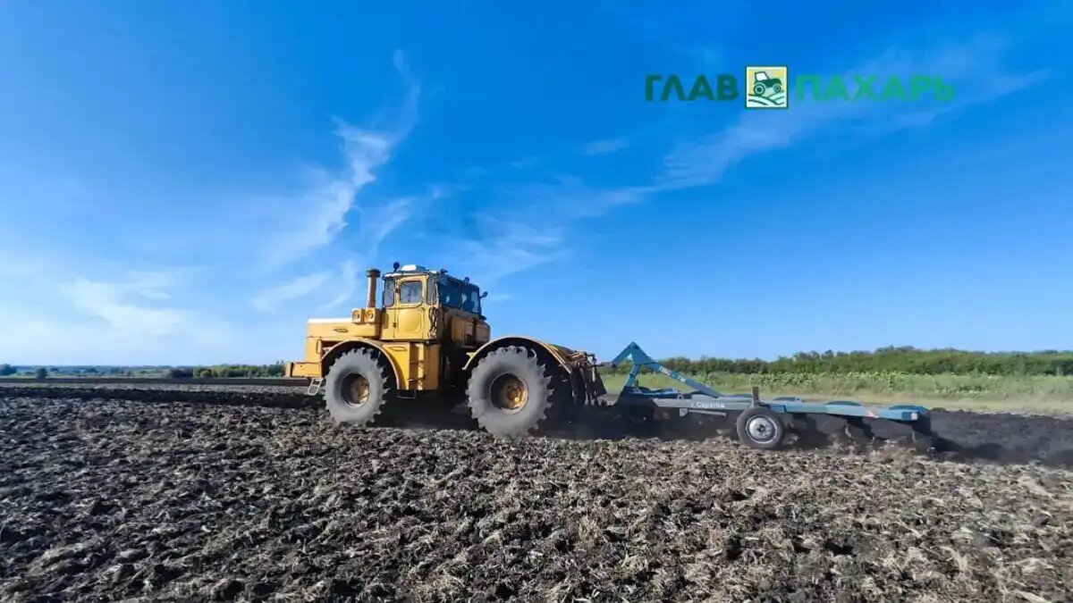 Фото: © Артем Борисов / Glavpahar.ru
Старый трактор в поле в хорошем состоянии (фото иллюстративное)