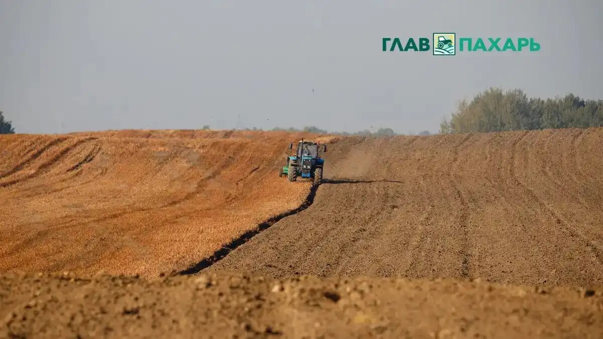 Фото: © Владимир Исаенко / Glavpahar.ruАнализ рынка сельхозтехники в РФ (фото иллюстративное)