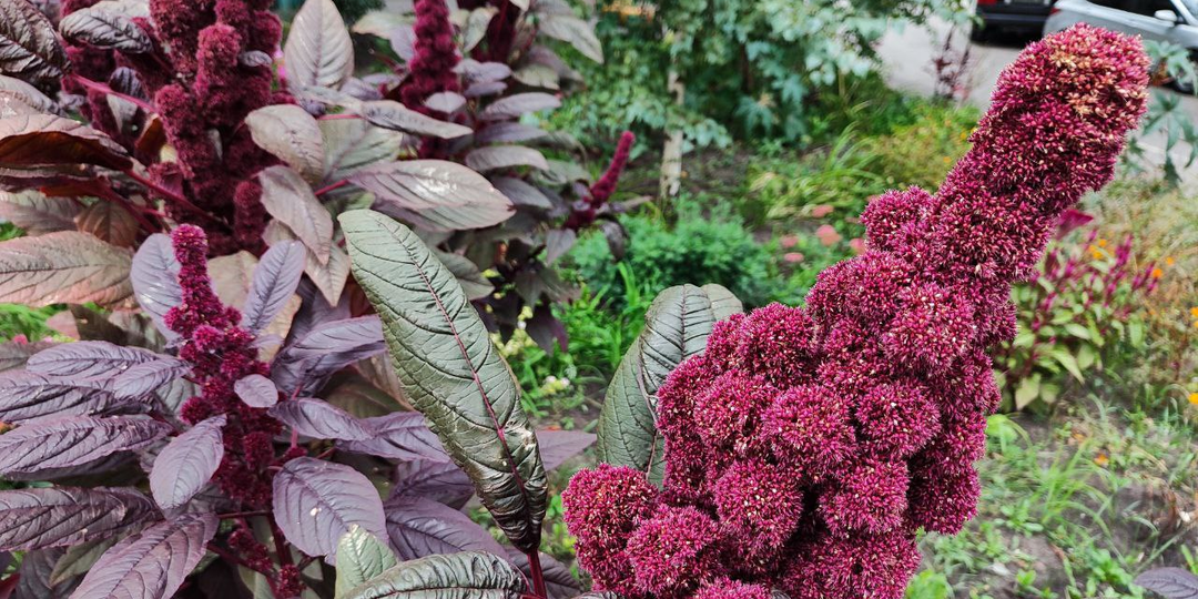 Отличница всегда и везде. Глава 8.