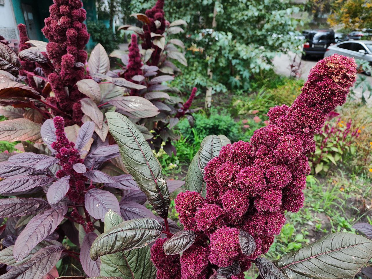 Фото автора.