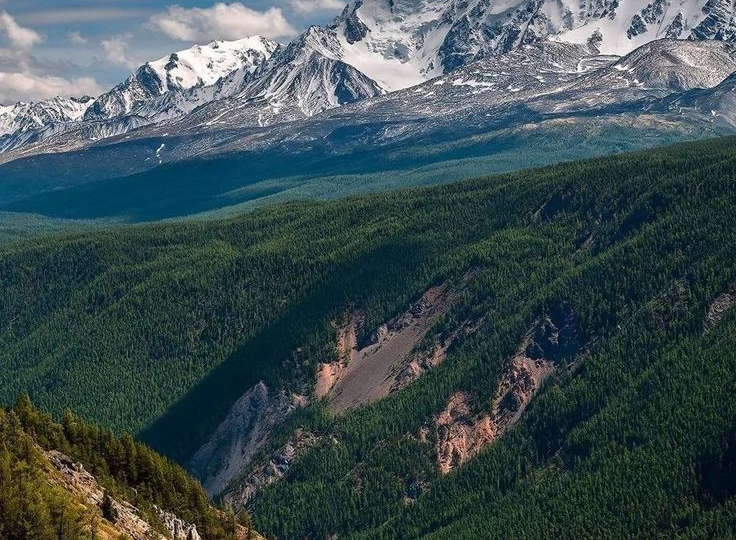 Горы не прощают ошибок: Почему нельзя кричать на перевалах и что значит лента на дереве?