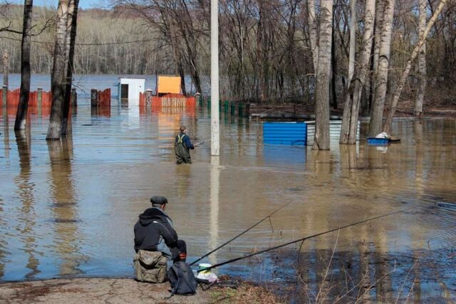 И на берегу, и в огороде… Как паводки могут сказаться на рыбной ловле?