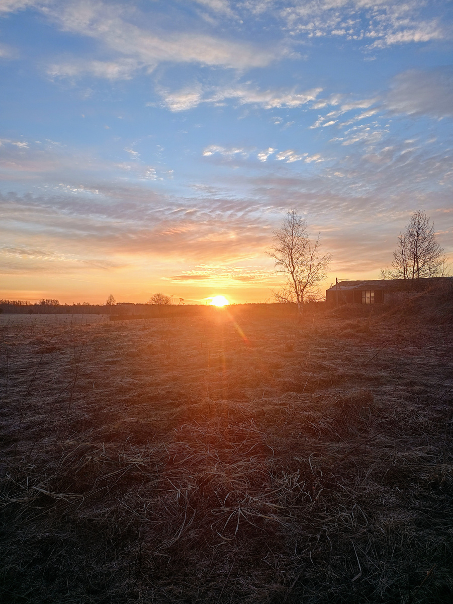 Фото автора. Рассвет. 2025год