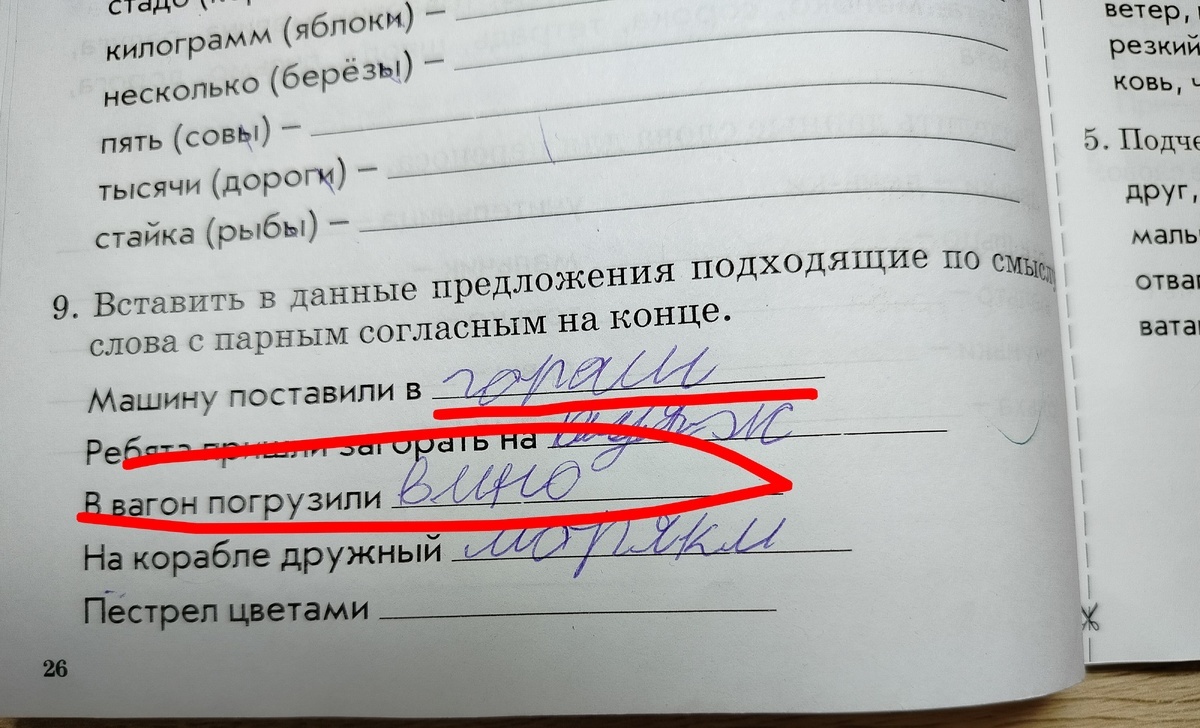 Фото читателя