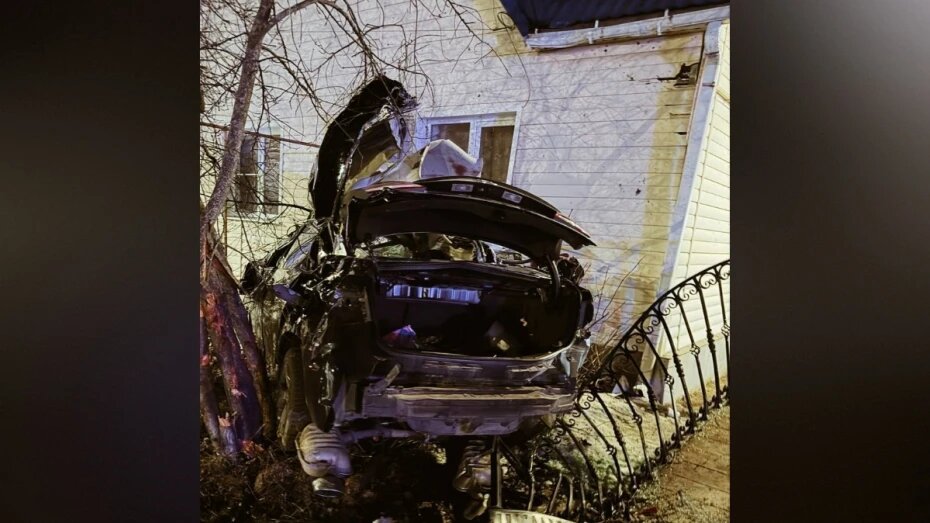    Автор фото: t.me/zhest_voronezh_136