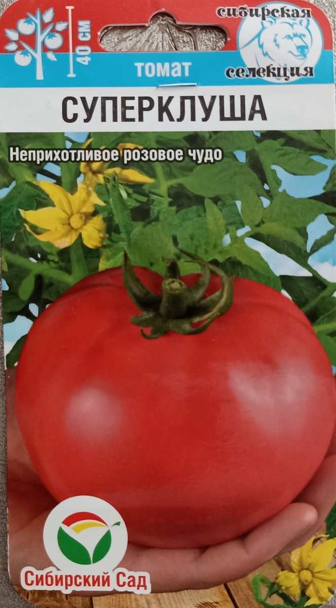 Томат ,, Суперклуша. ,, Фото автора.