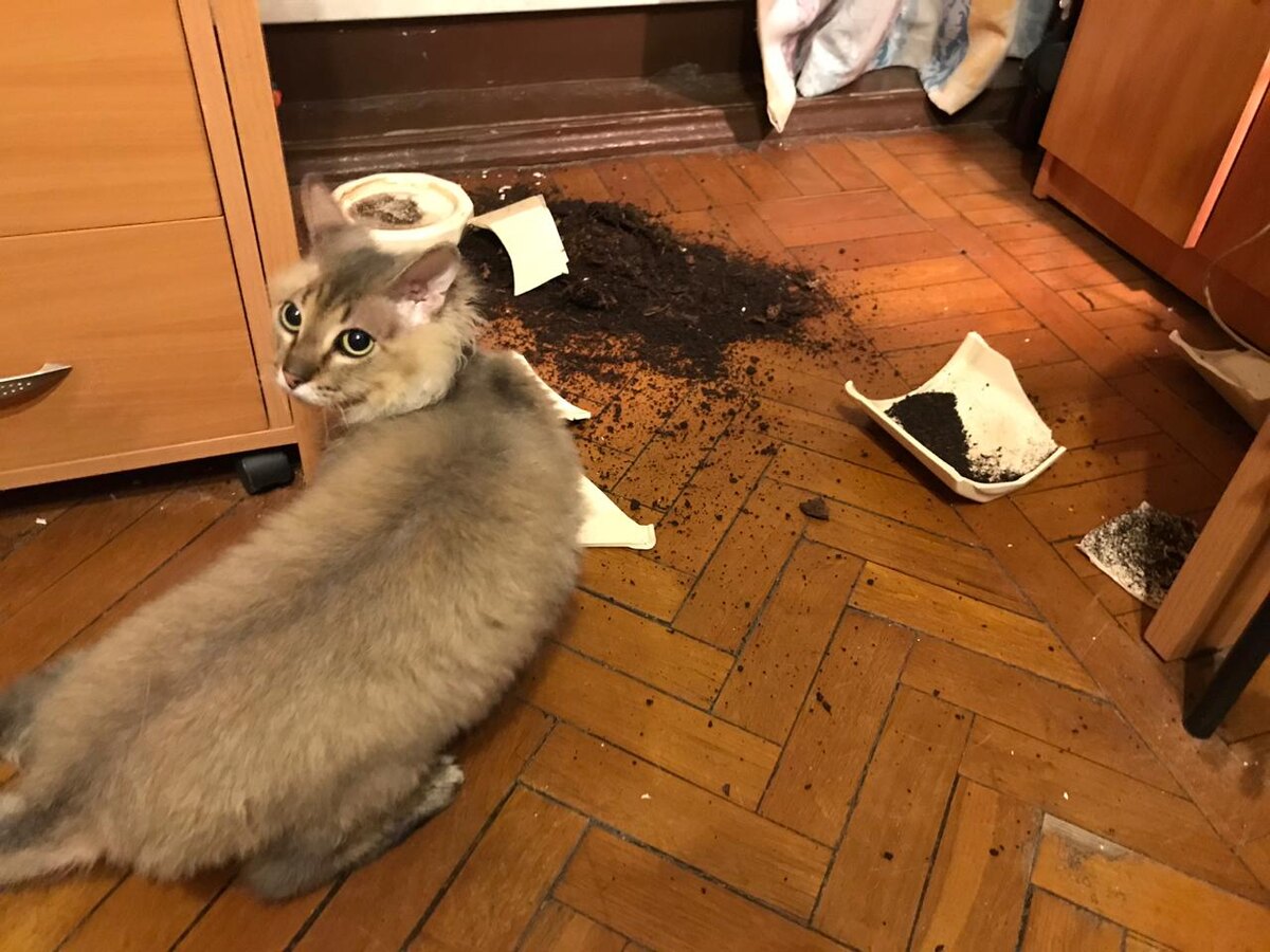 -2