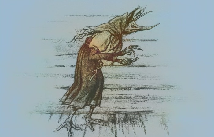 Кикимора домашняя.