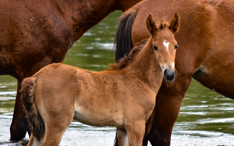    фото: freepik.com Редактор