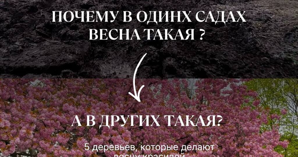 Чтобы сад радовал Вас круглый год, важно правильно подбирать растения: учитывать сезонность, климат и особенности участка