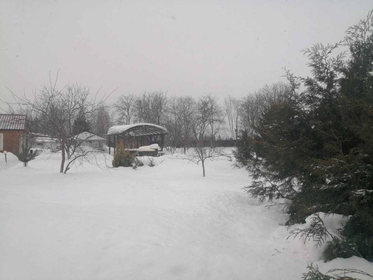 Фото автора