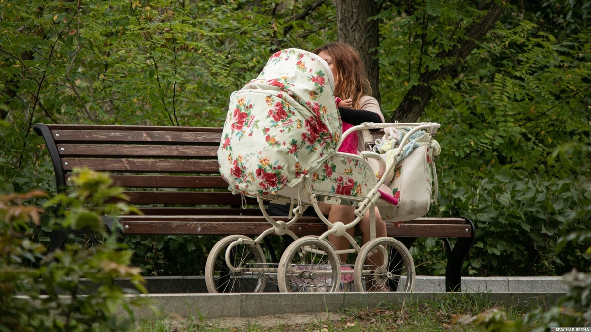     Детская коляска   
Анна Рыжкова © ИА Красная Весна