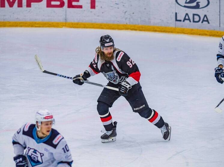     Источник: ХК "Тамбов"